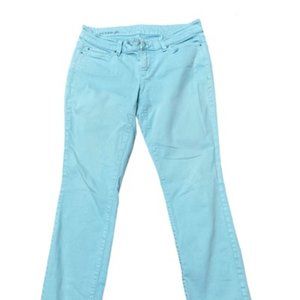 Ann Taylor Modern Fit Skinny Jeans